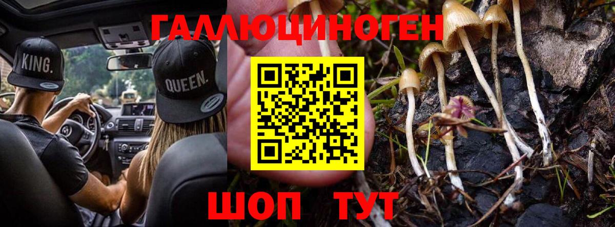 сколько стоит  Вход с VPN  Сорочинск  Галлюциногенные грибы Psilocybine cubensis 